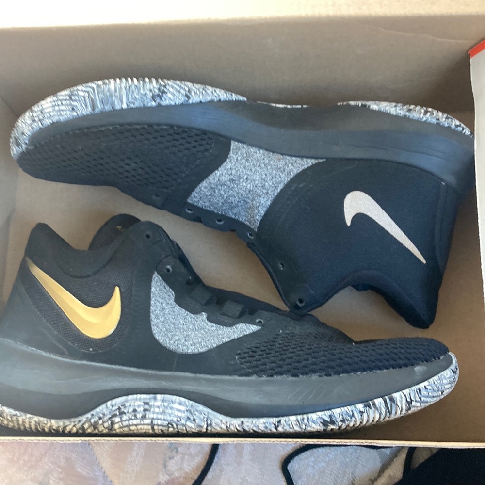 Nike Air percision 2 Basketball shoes